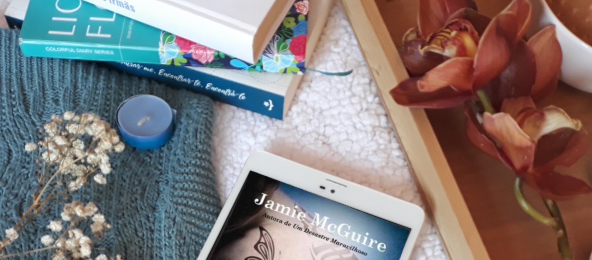 A Caminhar Para O Desastre da Jamie Mcguire
